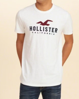 Hollister men’s round neck T-shirt short sleeve cotton white